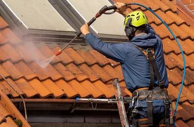 Démoussage et hydrofuge de toiture à Voulon